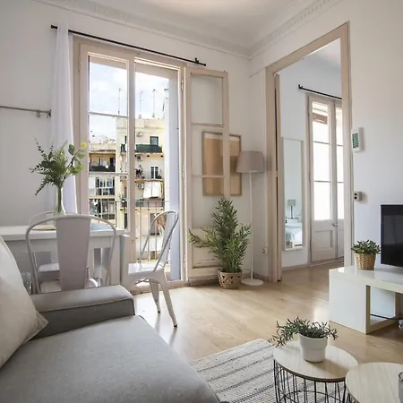 32par1009 - Big And Spacious Downtown Appartement