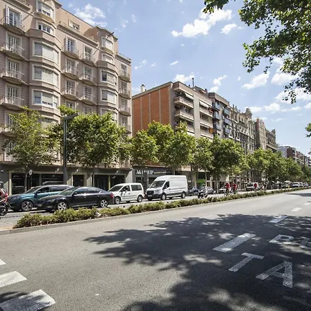 32par1009 - Big And Spacious Downtown *